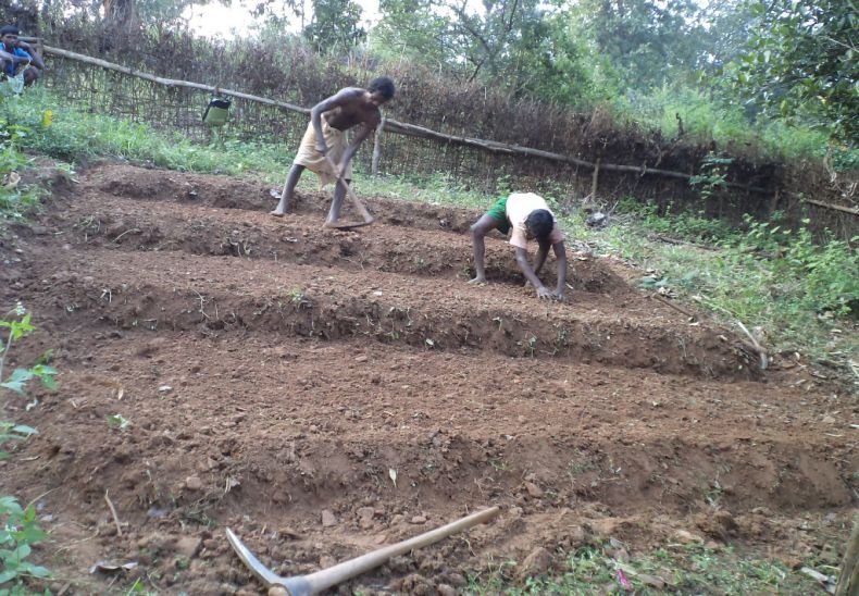 Preparing raised beds for nutrition garden