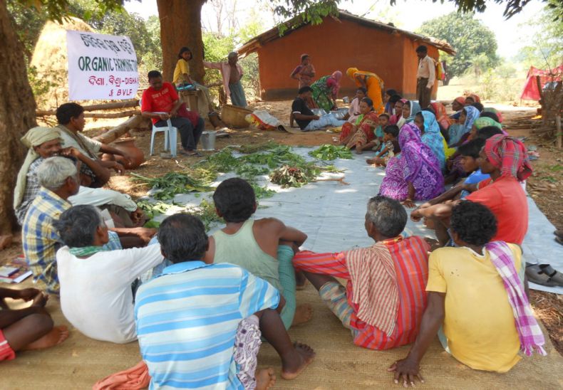 Organic farming training in village