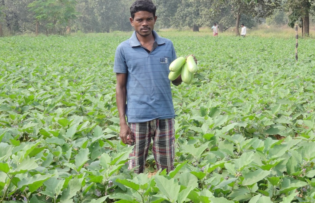 Good income due to organic farming